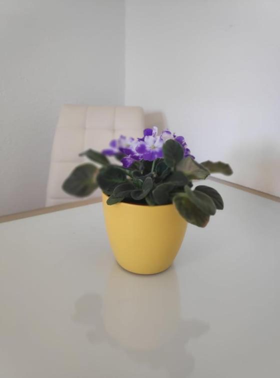 Apartmani Lucica Йезера Екстериор снимка