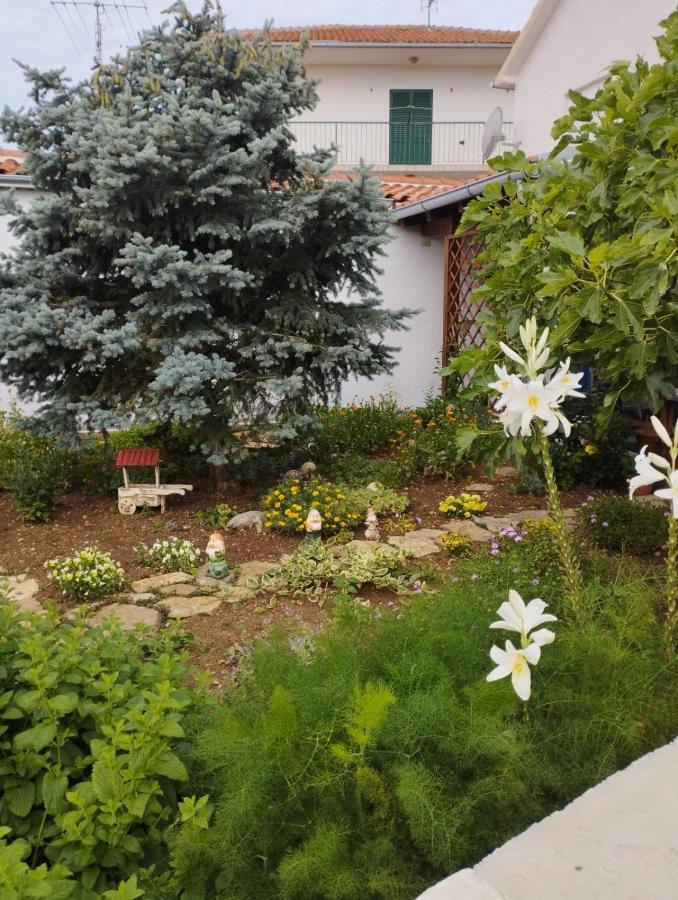 Apartmani Lucica Йезера Екстериор снимка
