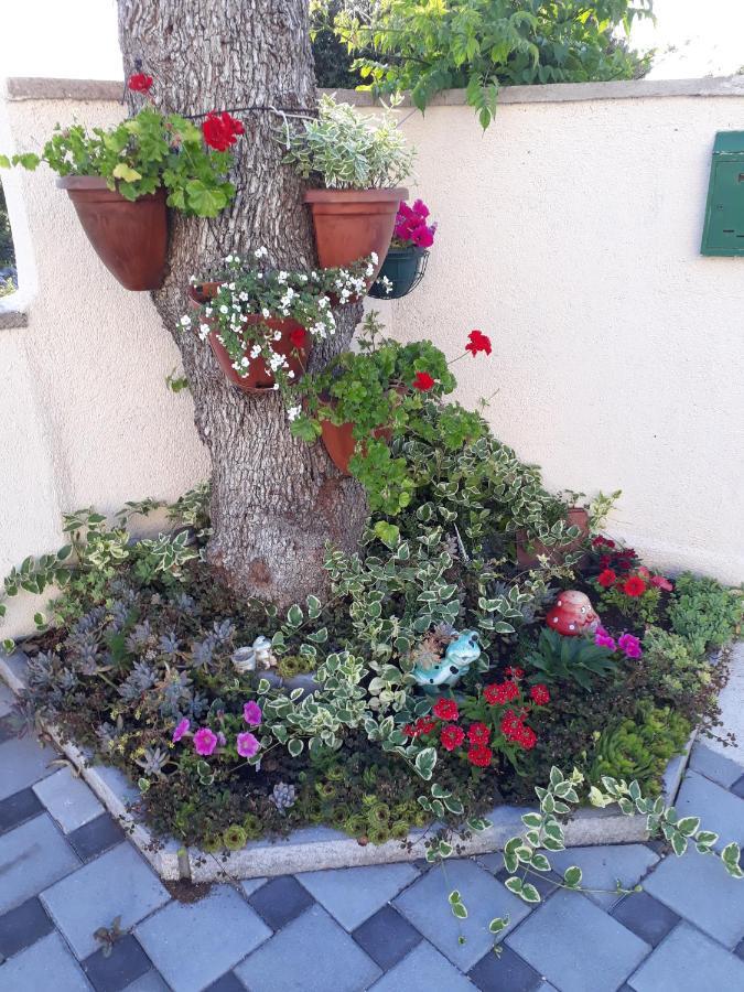 Apartmani Lucica Йезера Екстериор снимка